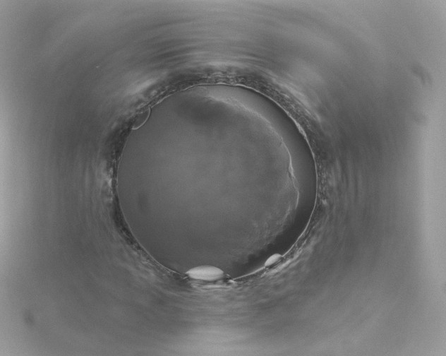 X0000115691013200911251808