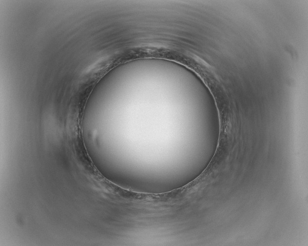 X0000115691014200911251808