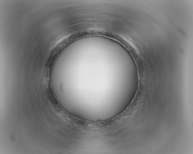 X0000115691015200911251808