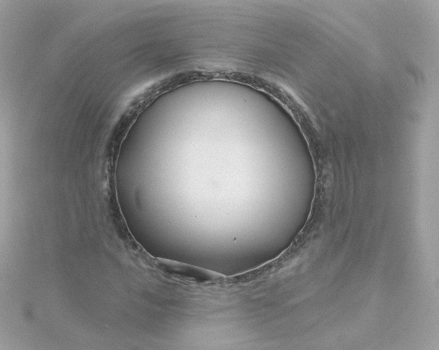 X0000115691016200911251808