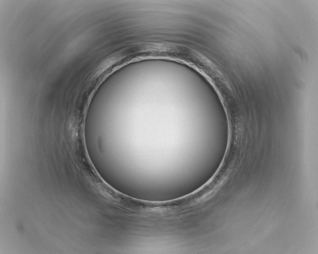 X0000115691017200911251808