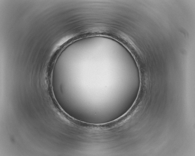 X0000115691018200911251808