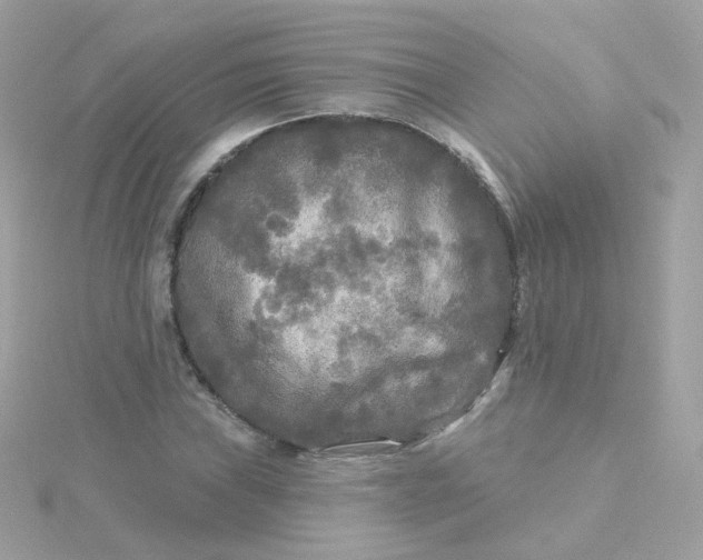 X0000115691019200911251808