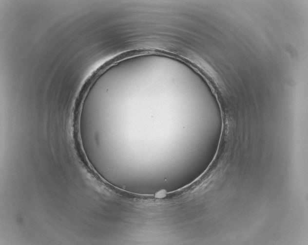 X0000115691020200911251808