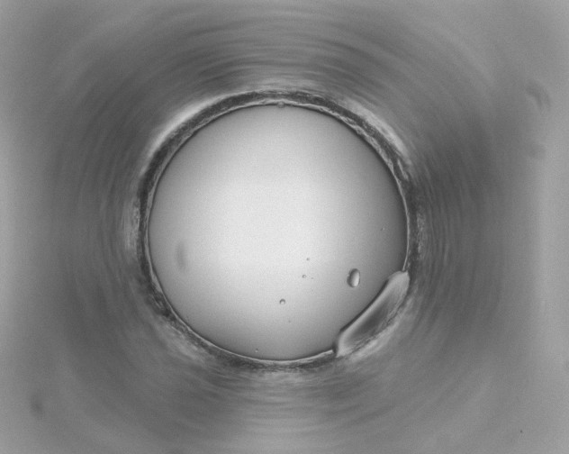 X0000115691021200911251808