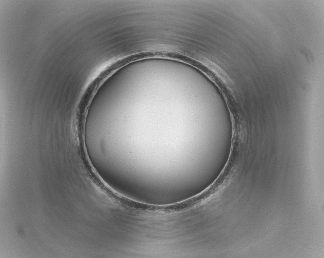 X0000115691022200911251808