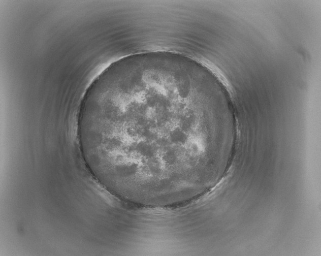 X0000115691023200911251808