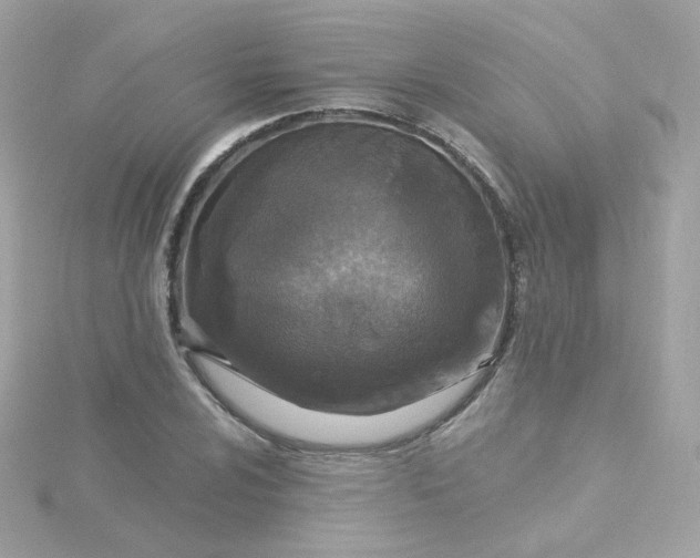 X0000115691024200911251808