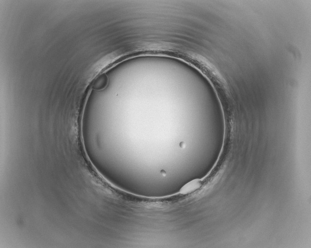 X0000115691025200911251808