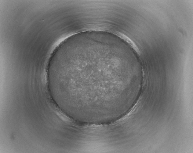 X0000115691027200911251808