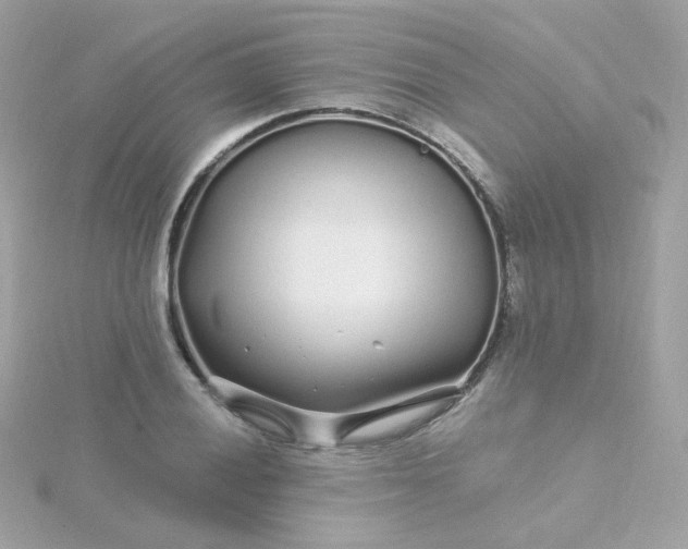 X0000115691028200911251808