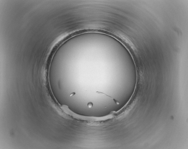 X0000115691029200911251808