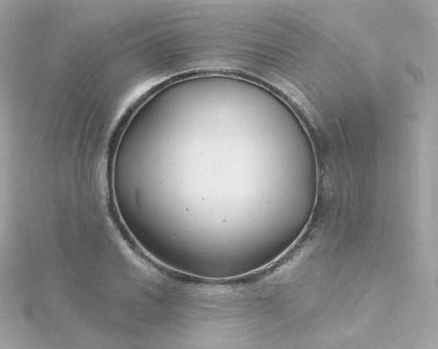 X0000115691030200911251808