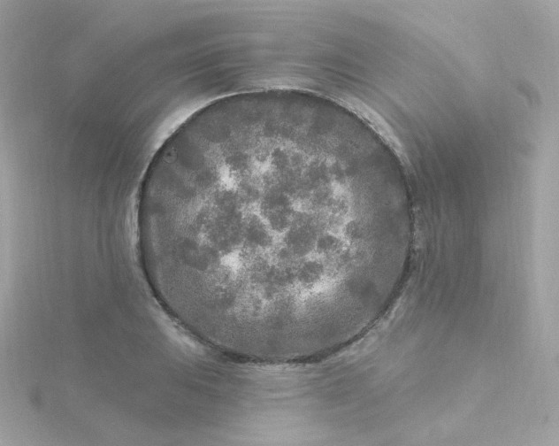 X0000115691031200911251809