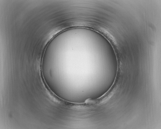 X0000115691033200911251809