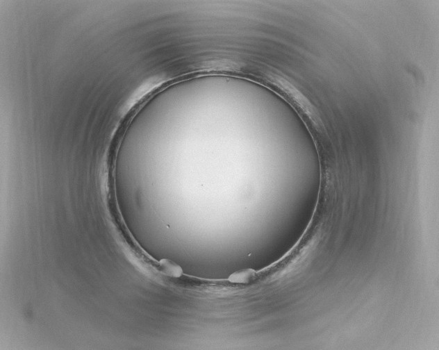 X0000115691034200911251809