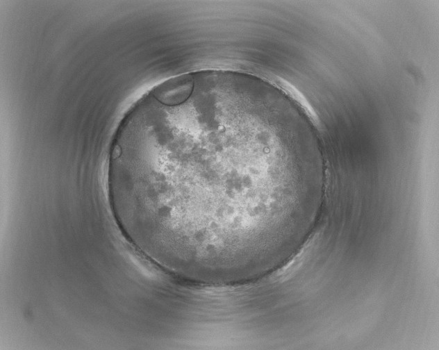 X0000115691035200911251809