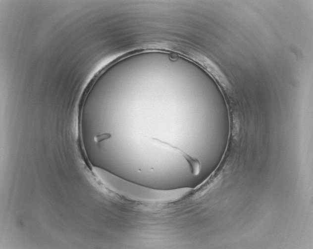 X0000115691036200911251809