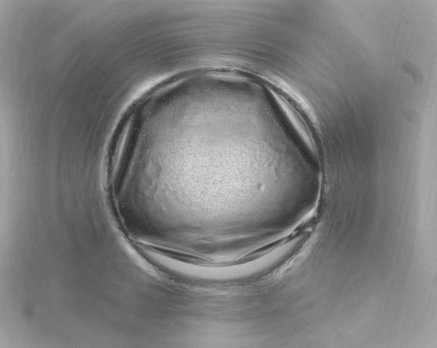 X0000115691037200911251809