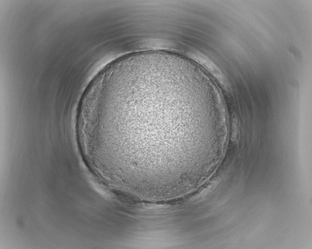 X0000115691039200911251809