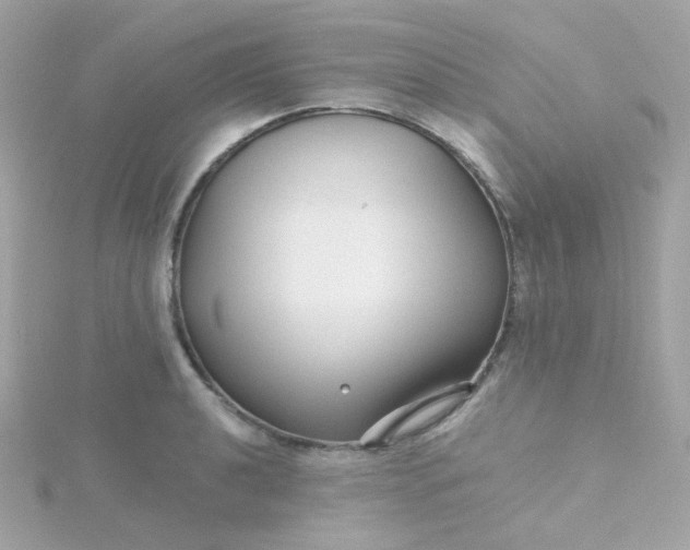 X0000115691040200911251809