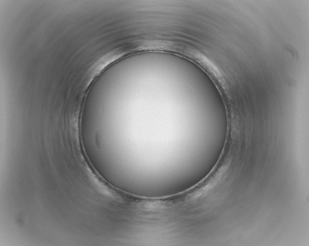 X0000115691041200911251809