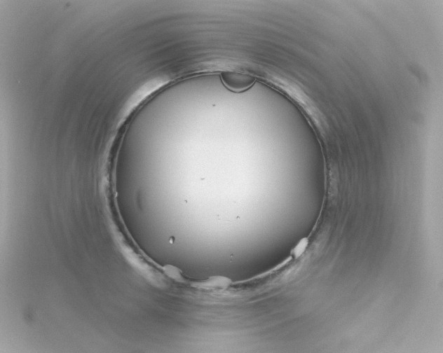 X0000115691042200911251809