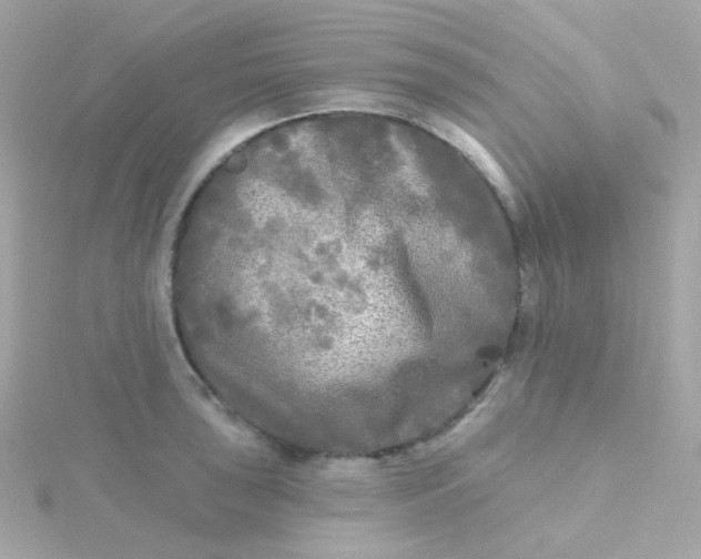 X0000115691043200911251809