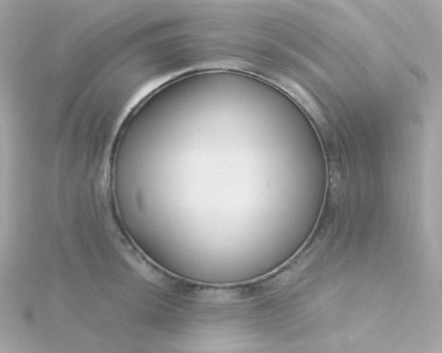 X0000115691044200911251809