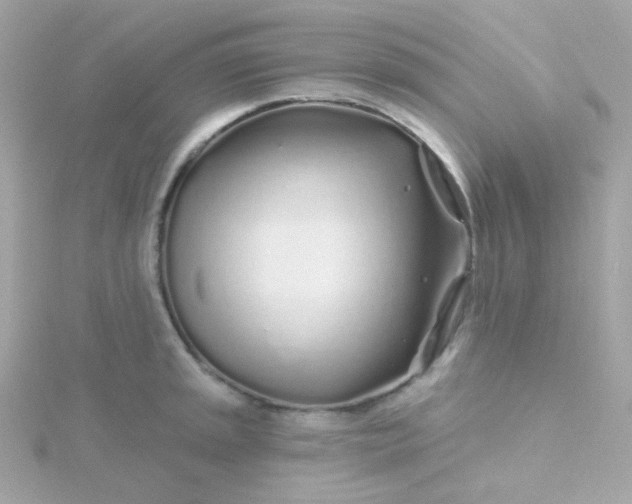 X0000115691045200911251809