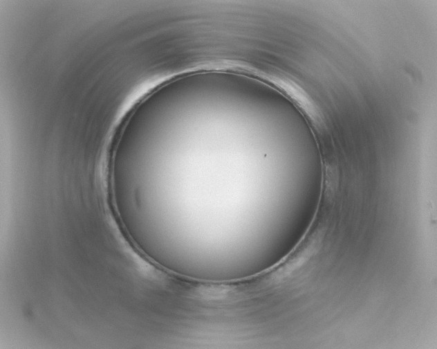 X0000115691046200911251809