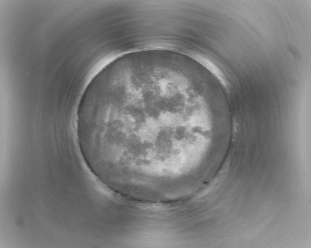 X0000115691047200911251809