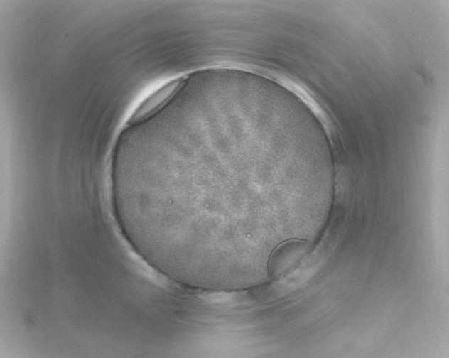 X0000115691048200911251809