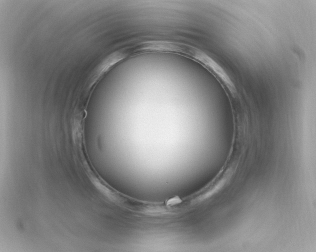 X0000115691049200911251809