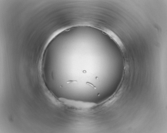 X0000115691052200911251809