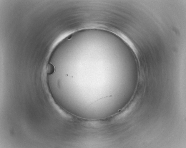 X0000115691053200911251809