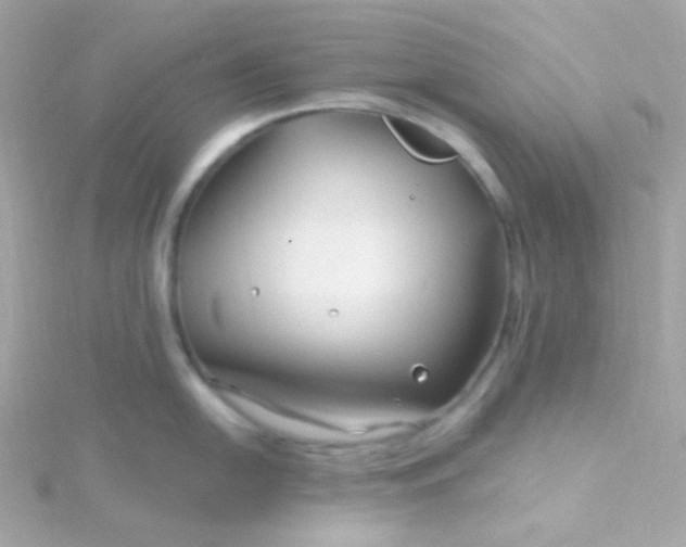 X0000115691054200911251809