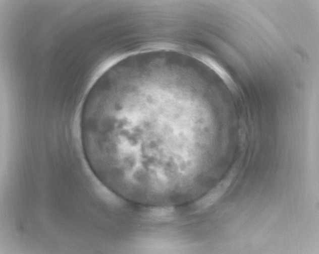 X0000115691055200911251809