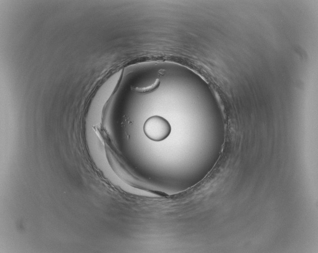 X0000115691057200911251808