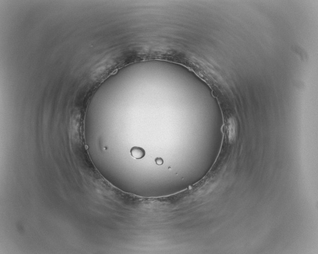 X0000115691059200911251808