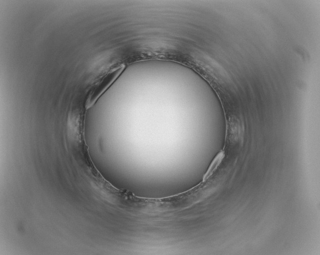 X0000115691060200911251808