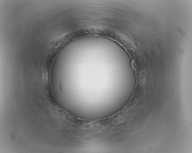 X0000115691061200911251808