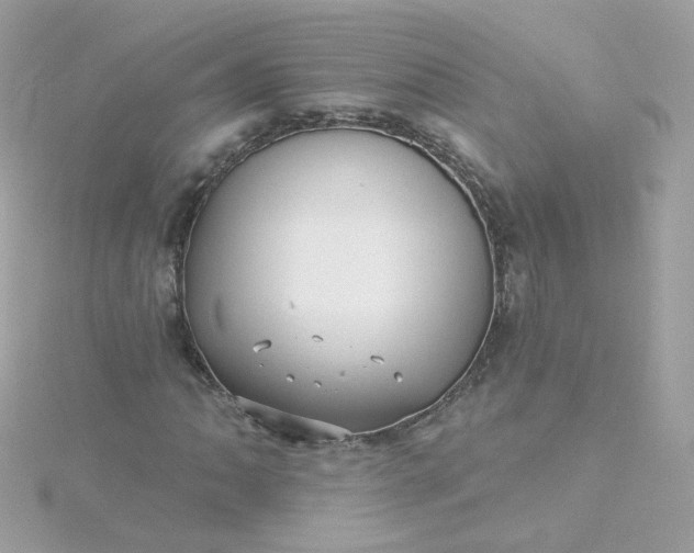 X0000115691062200911251808