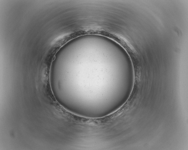 X0000115691063200911251808