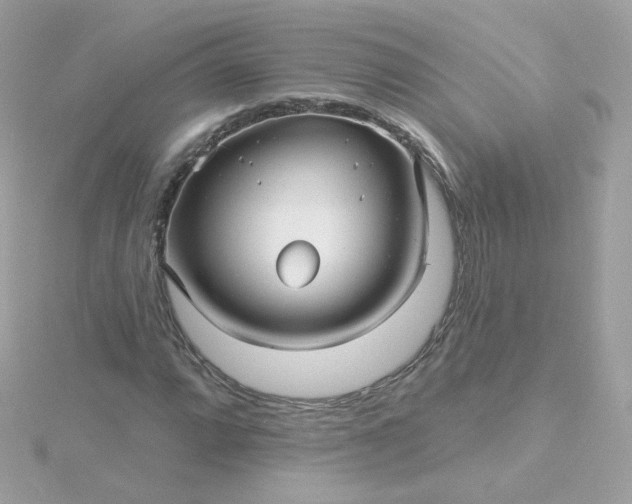 X0000115691064200911251808