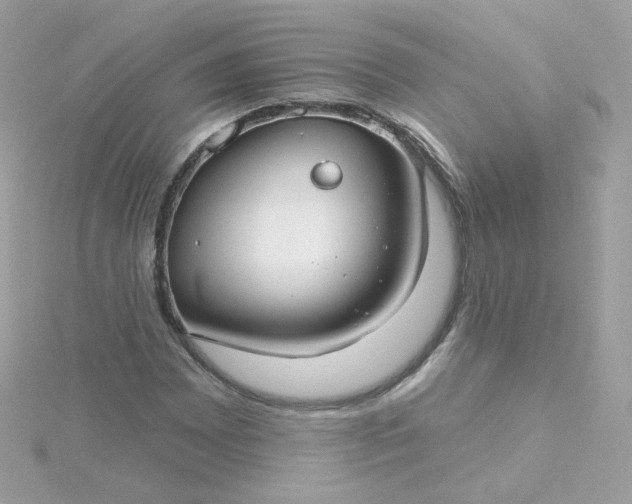 X0000115691065200911251808