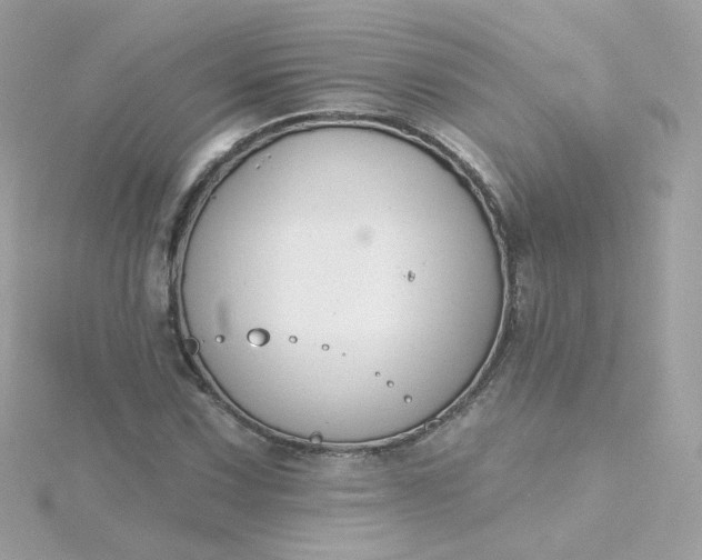 X0000115691067200911251808