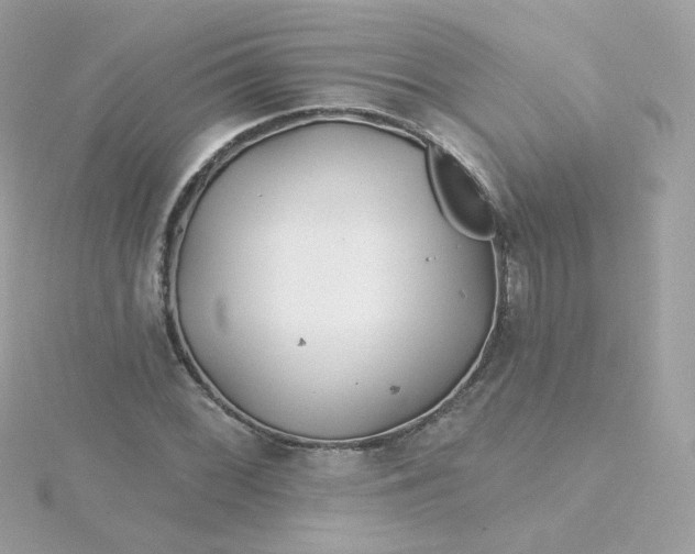 X0000115691068200911251808