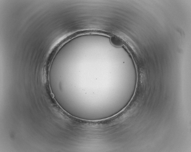 X0000115691069200911251808