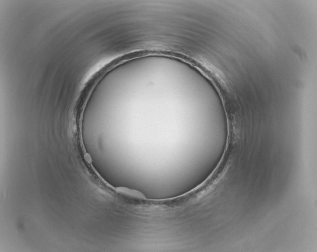 X0000115691070200911251808